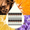 image:imagePlant Therapy Top 14 Essential Oil Set 10 mL 13 oz