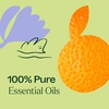 image:imagePlant Therapy Tranquil Essential Oil Blend 10 mL 13 oz