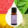 image:imagePlant Therapy Tranquil Essential Oil Blend 10 mL 13 oz