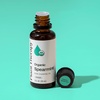 image:imagePlant Therapy USDA Certified Organic Spearmint Essential Oil 30 mL 1 oz 100 Pure Undiluted Digestive Health Fresh Scent