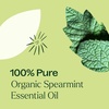 image:imagePlant Therapy USDA Certified Organic Spearmint Essential Oil 30 mL 1 oz 100 Pure Undiluted Digestive Health Fresh Scent