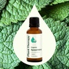 image:imagePlant Therapy USDA Certified Organic Spearmint Essential Oil 30 mL 1 oz 100 Pure Undiluted Digestive Health Fresh Scent