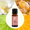 image:imagePlant Therapy Vanilla Sea Salt Essential Oil Blend 10 mL 13 oz