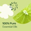 image:imagePlant Therapy Vanilla Sea Salt Essential Oil Blend 10 mL 13 oz