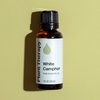 image:imagePlant Therapy White Camphor Essential Oil 30 mL 1 oz 100 Pure Undiluted Supports Respiratory Health
