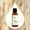 image:imagePlant Therapy White Camphor Essential Oil 30 mL 1 oz 100 Pure Undiluted Supports Respiratory Health