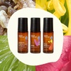 image:imagePlant Therapy Womens Ritual Body Oil RollOn Trio