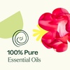 image:imagePlant Therapy Womens Ritual Body Oil RollOn Trio