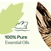 image:imagePlant Therapy Wood Spice Essential Oil Blend 10 mL 13 oz 100 Pure Undiluted Essential Oils Great for DIYs and Diffusing
