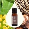 image:imagePlant Therapy Wood Spice Essential Oil Blend 10 mL 13 oz 100 Pure Undiluted Essential Oils Great for DIYs and Diffusing