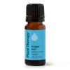image:imagePlant Therapy Invigor Aid Essential Oil Blend 10 mL 13 oz 100 Pure and Undiluted Essential Oils Great for DIY Body Care