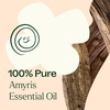 image:imagePlant Therapy Amyris Essential Oil 10 mL 13 oz 100 Pure Undiluted Calming Aromatherapy Skin Care Respiratory Support