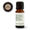 image:imagePlant Therapy Atlas Cedarwood Essential Oil 10 mL 13 oz 100 Pure Undiluted Natural Aromatherapy Soothing Aromatherapy for Skin Hair and Stress Relief