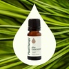 image:imagePlant Therapy Atlas Cedarwood Essential Oil 10 mL 13 oz 100 Pure Undiluted Natural Aromatherapy Soothing Aromatherapy for Skin Hair and Stress Relief