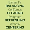 image:imagePlant Therapy Balsam Fir Essential Oil 30 mL 1 oz 100 Pure Undiluted