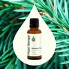 image:imagePlant Therapy Balsam Fir Essential Oil 30 mL 1 oz 100 Pure Undiluted