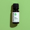 image:imagePlant Therapy Basil Linalool Essential Oil 10 mL 13 oz 100 Pure Undiluted Aromatherapy for Muscle Soreness and Digestive Discomfort