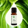 image:imagePlant Therapy Basil Linalool Essential Oil 10 mL 13 oz 100 Pure Undiluted Aromatherapy for Muscle Soreness and Digestive Discomfort