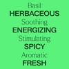 image:imagePlant Therapy Basil Linalool Essential Oil 10 mL 13 oz 100 Pure Undiluted Aromatherapy for Muscle Soreness and Digestive Discomfort