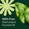 image:imagePlant Therapy Basil Linalool Essential Oil 10 mL 13 oz 100 Pure Undiluted Aromatherapy for Muscle Soreness and Digestive Discomfort