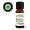 image:imagePlant Therapy Basil Linalool Essential Oil 10 mL 13 oz 100 Pure Undiluted Aromatherapy for Muscle Soreness and Digestive Discomfort