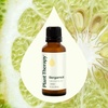 image:imagePlant Therapy Bergamot Essential Oil 30 mL 1 oz 100 Pure Undiluted Uplifting Fresh Sent for Aromatherapy and Clear Skin