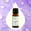 image:imagePlant Therapy Bergamot Mint Essential Oil 10 mL 13 oz 100 Pure Undiluted Calming Aromatherapy Congestion Relief and Immune Support