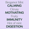 image:imagePlant Therapy Bergamot Mint Essential Oil 10 mL 13 oz 100 Pure Undiluted Calming Aromatherapy Congestion Relief and Immune Support