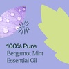 image:imagePlant Therapy Bergamot Mint Essential Oil 10 mL 13 oz 100 Pure Undiluted Calming Aromatherapy Congestion Relief and Immune Support