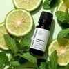 image:imagePlant Therapy Bergamot Mint Essential Oil 10 mL 13 oz 100 Pure Undiluted Calming Aromatherapy Congestion Relief and Immune Support