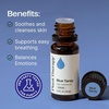image:imagePlant Therapy Blue Tansy Essential Oil 100 Pure Undiluted 10 mL 13 oz Herbaceous and AppleLike Aroma Great for Diffusers