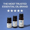 image:imagePlant Therapy Blue Tansy Essential Oil 100 Pure Undiluted 10 mL 13 oz Herbaceous and AppleLike Aroma Great for Diffusers