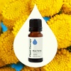 image:imagePlant Therapy Blue Tansy Essential Oil 100 Pure Undiluted 10 mL 13 oz Herbaceous and AppleLike Aroma Great for Diffusers