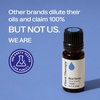 image:imagePlant Therapy Blue Tansy Essential Oil 100 Pure Undiluted 10 mL 13 oz Herbaceous and AppleLike Aroma Great for Diffusers