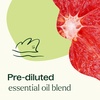 image:imagePlant Therapy Brain Aid Essential Oil Blend PreDiluted 10 mL 13 oz 100 Pure Aromatherapy for Focus amp Attention