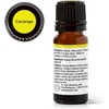 image:imagePlant Therapy Cananga Essential Oil 10 mL 13 oz 100 Pure Undiluted Natural Aromatherapy for Topical Use amp Diffusion Benefits Include Relaxing Soothing Rejuvenating