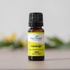 image:imagePlant Therapy Cananga Essential Oil 10 mL 13 oz 100 Pure Undiluted Natural Aromatherapy for Topical Use amp Diffusion Benefits Include Relaxing Soothing Rejuvenating
