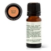image:imagePlant Therapy Carrot Seed Essential Oil 10 mL 13 oz 100 Pure Undiluted Natural Aromatherapy Natural Skin Care Digestive Support