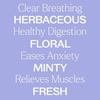 image:imagePlant Therapy Catnip Essential Oil 10 mL 13 oz 100 Pure Undiluted Natural Aromatherapy for Out Door Activities Respiratory Support and Digestive Relief