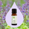 image:imagePlant Therapy Catnip Essential Oil 10 mL 13 oz 100 Pure Undiluted Natural Aromatherapy for Out Door Activities Respiratory Support and Digestive Relief