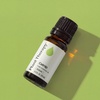 image:imagePlant Therapy Catnip Essential Oil 10 mL 13 oz 100 Pure Undiluted Natural Aromatherapy for Out Door Activities Respiratory Support and Digestive Relief