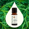 image:imagePlant Therapy Cedarwood Virginian Essential Oil 10 mL 13 Oz 100 Pure Undiluted for Aromatherapy Clear Skin and Respiratory Support