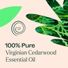image:imagePlant Therapy Cedarwood Virginian Essential Oil 10 mL 13 Oz 100 Pure Undiluted for Aromatherapy Clear Skin and Respiratory Support