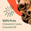 image:imagePlant Therapy Cinnamon Cassia Essential Oil 10 mL 13 oz 100 Pure Undiluted Cozy Aroma Soothes Sore Muscle