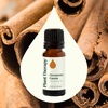 image:imagePlant Therapy Cinnamon Cassia Essential Oil 10 mL 13 oz 100 Pure Undiluted Cozy Aroma Soothes Sore Muscle