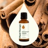 image:imagePlant Therapy Cinnamon Cassia Essential Oil 30 mL 1 oz 100 Pure Undiluted Cozy Aroma Soothes Sore Muscle