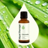 image:imagePlant Therapy Citronella Essential Oil 30 mL 1 oz 100 Pure Undiluted Citronella Oil for Aromatherapy Diffuser Candle Making Skin Care Outdoors