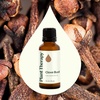 image:imagePlant Therapy Clove Bud Essential Oil 30 mL 1 oz 100 Pure Undiluted Natural Aromatherapy Immune Support Sore Muscle amp Joint Relief