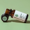image:imagePlant Therapy Coriander Seed Essential Oil 10 mL 13 oz 100 Pure Undiluted Calming Aromatherapy for Muscle Soreness and Digestive Discomfort