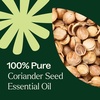 image:imagePlant Therapy Coriander Seed Essential Oil 10 mL 13 oz 100 Pure Undiluted Calming Aromatherapy for Muscle Soreness and Digestive Discomfort